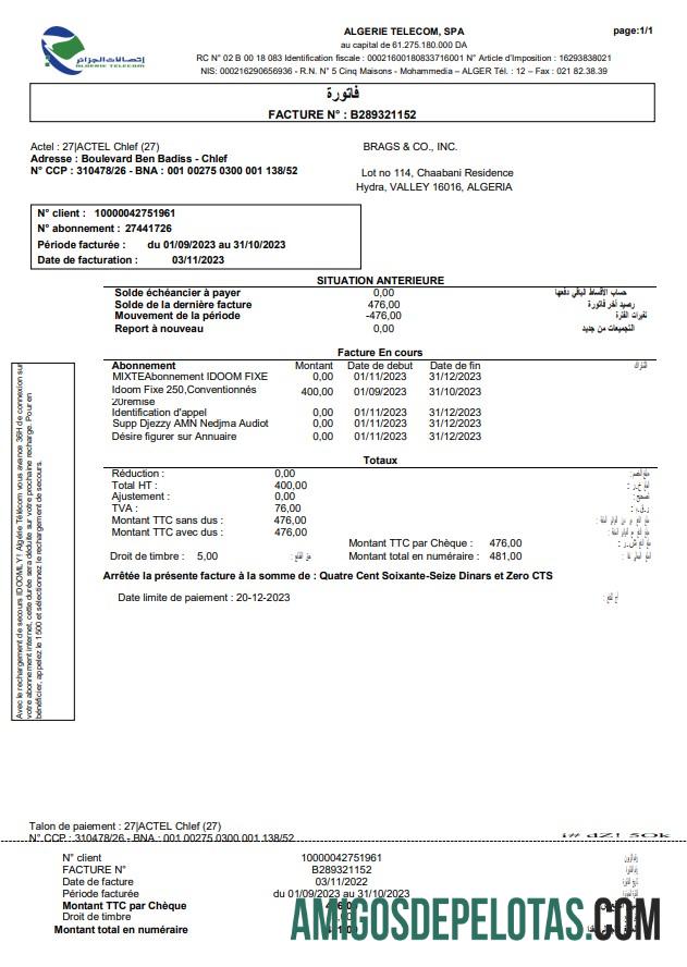 em branco Projeto de lei de negócios de serviços públicos da Algerie Telecom, modelo Word e PDF